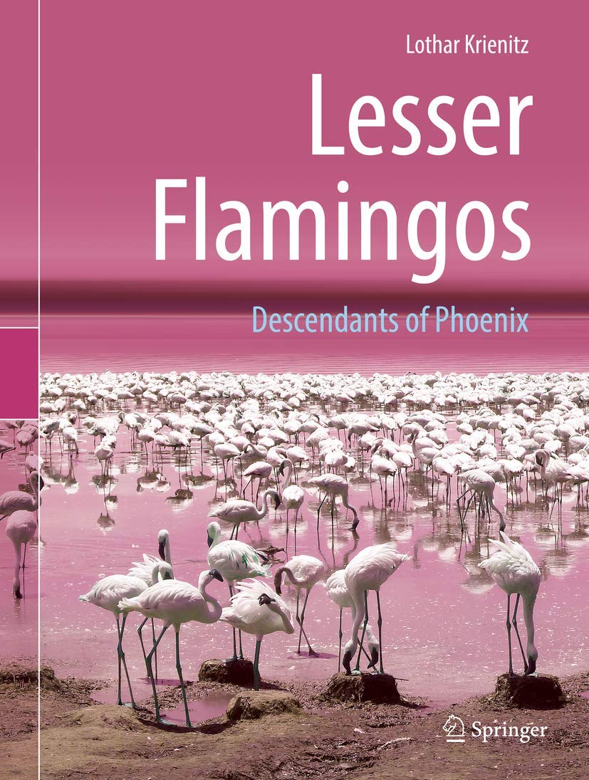 Lesser Flamingos: Descendants of Phoenix Mathematics