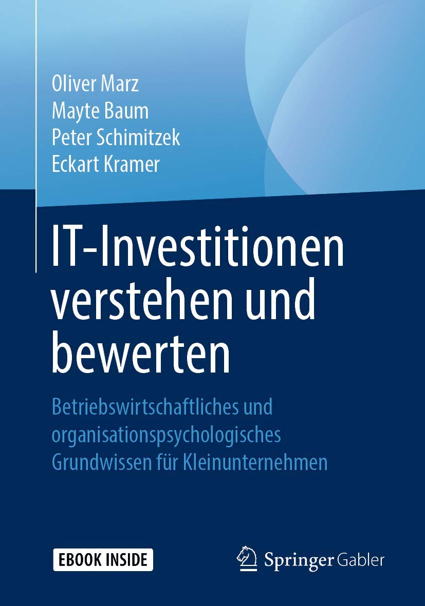 IT-Investitionen verstehen und bewerten: Betriebswirtschaftliches und organisationspsychologisches Grundwissen für Kleinunternehmen Business, Finance & Career