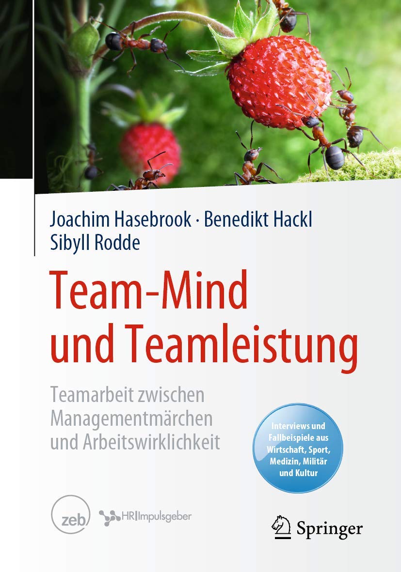 Team-mind Und Teamleistung: Teamarbeit Zwischen Managementmärchen Und Arbeitswirklichkeit book
