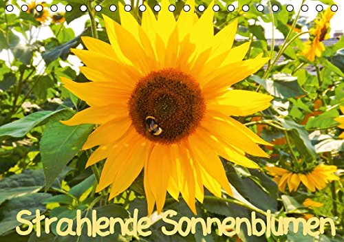Strahlende Sonnenblumen / CH - Version (Tischkalender 2015 DIN A5 quer): Strahlende Sonnenblumen (Monatskalender, 14 Seiten) Film, Art & Culture