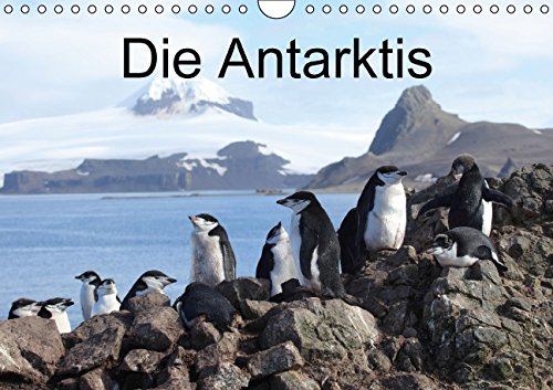 Die Antarktis / CH-Version (Wandkalender 2015 DIN A4 quer): Eisberge und Tiere in der Antarktis (Monatskalender, 14 Seiten) Leisure, Home & Garden