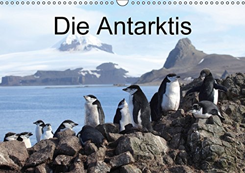 Die Antarktis / CH-Version (Wandkalender 2015 DIN A3 quer): Eisberge und Tiere in der Antarktis (Monatskalender, 14 Seiten) Leisure, Home & Garden