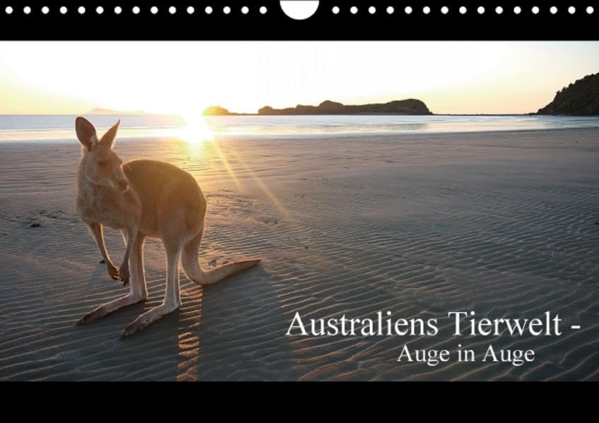 Australiens Tierwelt - Auge in Auge / AT-Version (Wandkalender 2015 DIN A4 quer): Reptilien, Beuteltiere und die bunte Vogelwelt von "Down Under" (Monatskalender, 14 Seiten) (CALVENDO Tiere) Leisure, Home & Garden