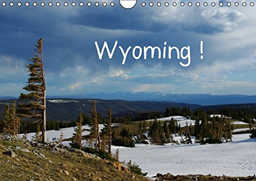 Wyoming! / CH-Version (Wandkalender 2015 DIN A4 quer): Eine Reise durch Wyoming, Land der Cowboys (Monatskalender, 14 Seiten) Leisure, Home & Garden