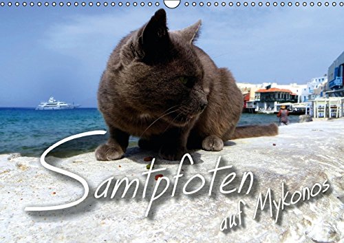 SAMTPFOTEN auf Mykonos (Wandkalender 2015 DIN A3 quer): Inselkatzen fotografiert vor landestypischen Kulissen. (Monatskalender, 14 Seiten) (CALVENDO Tiere) Leisure, Home & Garden