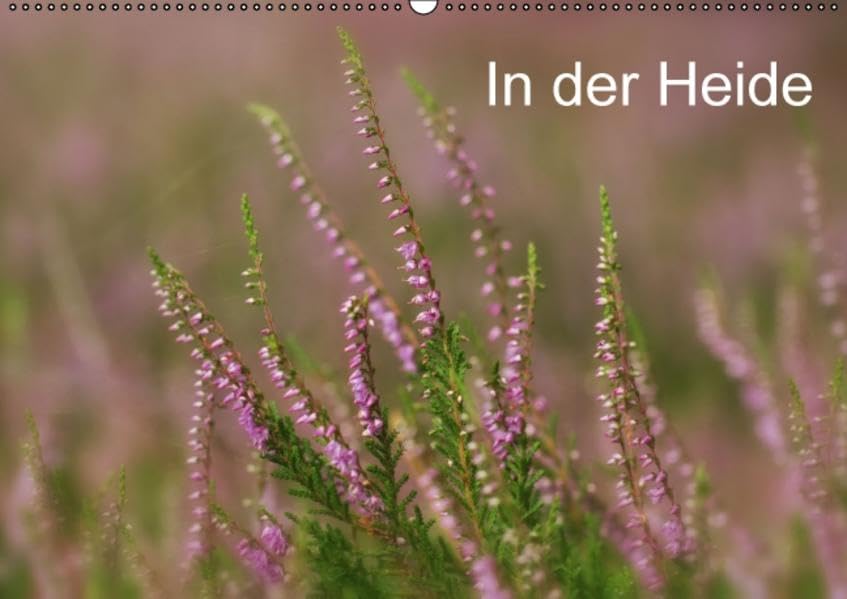 In der Heide (Wandkalender 2015 DIN A2 quer): Schöne Bilder aus der Heide (Monatskalender, 14 Seiten) (CALVENDO Natur) Leisure, Home & Garden