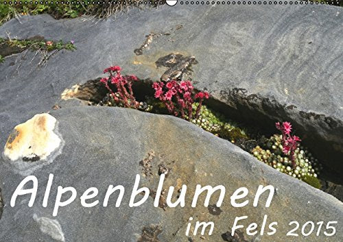 Alpenblumen im Fels (Wandkalender 2015 DIN A2 quer): Stimmungsvolle Fotos von Alpenblumen im Fels und Stein (Monatskalender, 14 Seiten) Leisure, Home & Garden