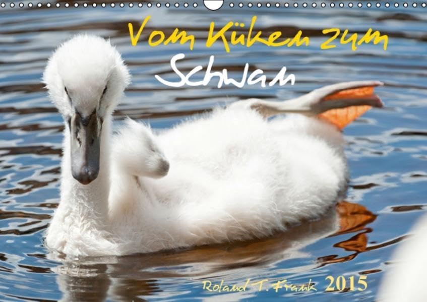 Vom Küken zum SchwanAT-Version (Wandkalender 2015 DIN A3 quer): Die Entwicklung vom Küken bis zum erwachsenen Schwan in 12 Bildern (Monatskalender, 14 Seiten) (CALVENDO Tiere) Photography