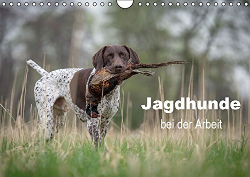 Jagdhunde bei der Arbeit (Wandkalender 2015 DIN A4 quer): Unentbehrliche Gehilfen, Freunde und Gefährten des Jägers (Monatskalender, 14 Seiten) Reference Books