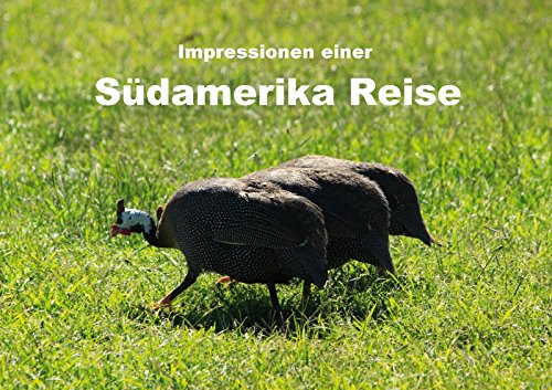 Impressionen einer Südamerika Reise (Tischaufsteller DIN A5 quer): Kommen Sie mit auf eine Bilderreise durch Südamerika (Tischaufsteller, 14 Seiten ) book