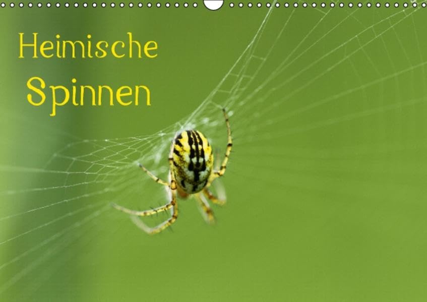 Heimische Spinnen (Wandkalender 2015 DIN A3 quer): Monatskalender mit Fotos heimischer Spinnen (Monatskalender, 14 Seiten) (CALVENDO Tiere) Leisure, Home & Garden