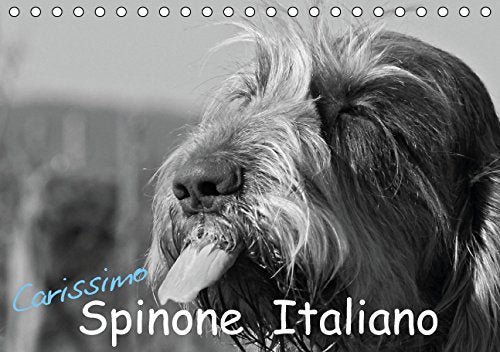 Carissimo Spinone Italiano (Tischkalender 2015 DIN A5 quer): Ein Portrait des Spinone Italiano (Monatskalender, 14 Seiten) (CALVENDO Tiere) Photography