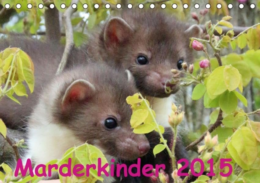Marderkinder (Tischkalender 2015 DIN A5 quer): Marderkinder, interessante und fröhliche Begleiter auf Zeit (Monatskalender, 14 Seiten) (CALVENDO Tiere) Natural Sciences