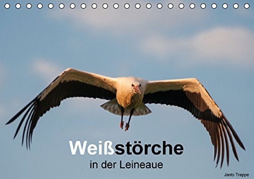 Weißstörche in der Leineaue (Tischkalender 2015 DIN A5 quer): Eindrucksvolle Aufnahmen der Weißstörche in der Leineaue. (Monatskalender, 14 Seiten) (CALVENDO Tiere) Natural Sciences