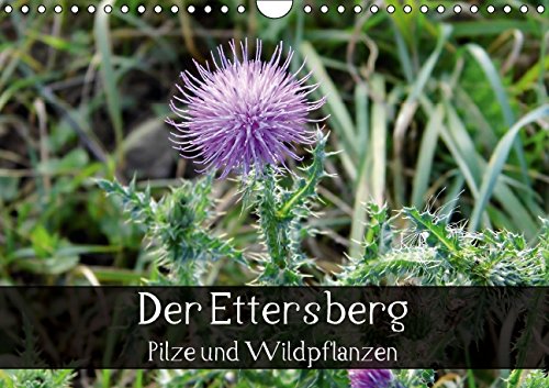 Der Ettersberg - Pilze und Wildpflanzen (Wandkalender 2015 DIN A4 quer): Farbenfrohe Impressionen der einzigartigen Flora des Ettersbergs. (Monatskalender, 14 Seiten) (CALVENDO Natur) Living & Furnishing