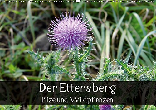 Der Ettersberg - Pilze und Wildpflanzen (Wandkalender 2015 DIN A2 quer): Farbenfrohe Impressionen der einzigartigen Flora des Ettersbergs. (Monatskalender, 14 Seiten) (CALVENDO Natur) Living & Furnishing