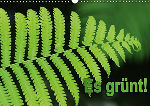 Es grünt! (Wandkalender 2015 DIN A3 quer): Anspruchsvollen Fotografien von Cristina Wilson mit viel Liebe zum Detail und einem besonderen Blick für das Schöne in der Natur. (Monatskalender, 14 Seiten) Film, Art & Culture