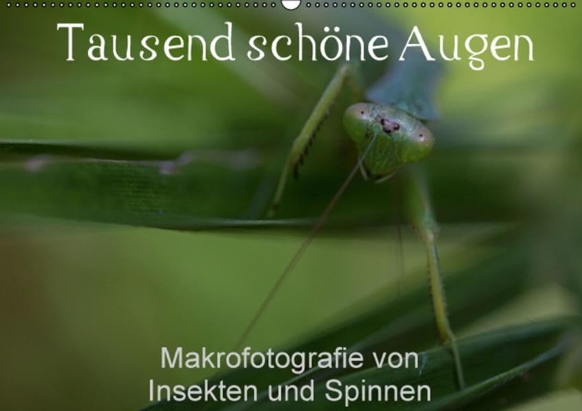 Tausend schöne Augen (Wandkalender 2015 DIN A2 quer): Tausend Augen zeigt die faszinierende Welt der Makro-Fotografie von Insekten und anderen kleinen ... (Monatskalender, 14 Seiten) (CALVENDO Tiere) Natural Sciences