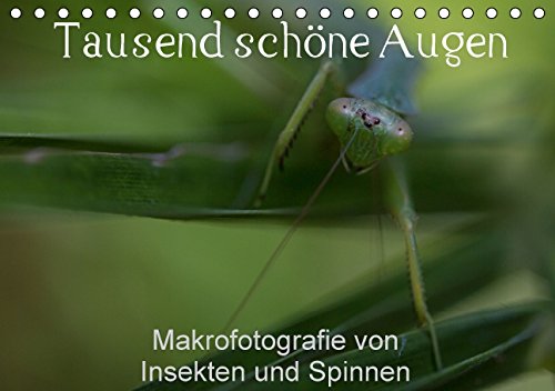 Tausend schöne Augen (Tischkalender 2015 DIN A5 quer): Tausend Augen zeigt die faszinierende Welt der Makro-Fotografie von Insekten und anderen ... (Monatskalender, 14 Seiten) (CALVENDO Tiere) Natural Sciences