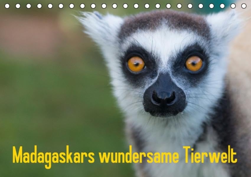 Madagaskars wundersame Tierwelt (Tischkalender 2015 DIN A5 quer): Eine Reise durch das Land der Lemuren, Chamäleons und Geckos. (Monatskalender, 14 Seiten) (CALVENDO Tiere) Natural Sciences