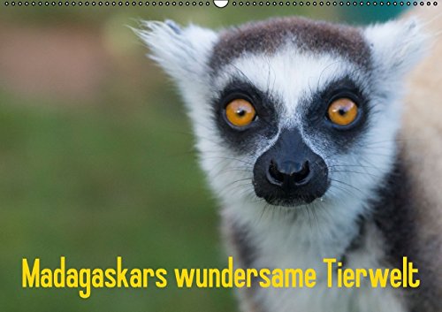 Madagaskars wundersame Tierwelt (Wandkalender 2015 DIN A2 quer): Eine Reise durch das Land der Lemuren, Chamäleons und Geckos. (Monatskalender, 14 Seiten) (CALVENDO Tiere) Natural Sciences