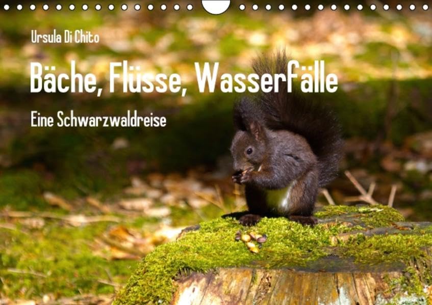 Bäche, Flüsse, Wasserfälle - Eine Schwarzwaldreise (Wandkalender 2016 DIN A4 quer): Eine Reise zu den schönsten Gewässern im Schwarzwald (Monatskalender, 14 Seiten) (CALVENDO Natur) Leisure, Home & Garden