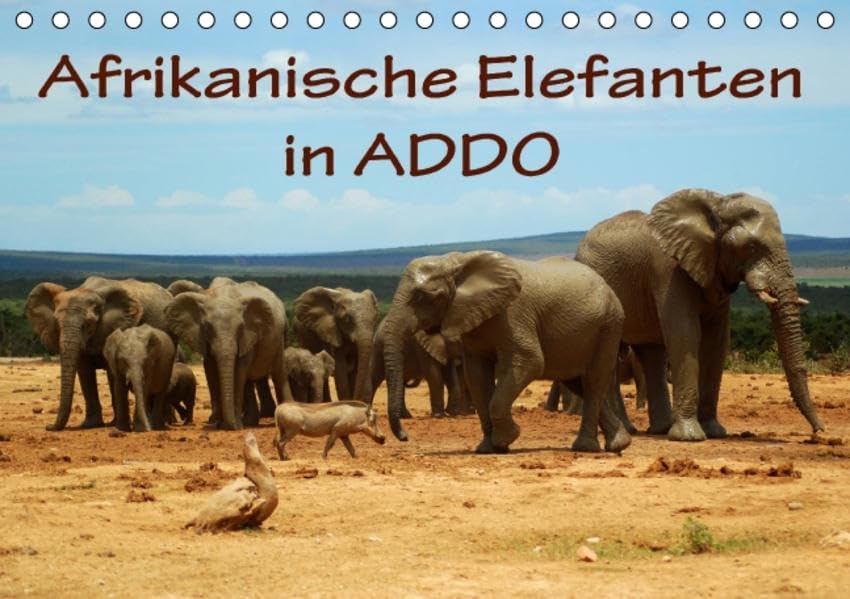 Afrikanische Elefanten in ADDO (Tischkalender 2016 DIN A5 quer): Bilder aus dem ADDO Elephant National Park/Südafrika. (Monatskalender, 14 Seiten) (CALVENDO Tiere) Leisure, Home & Garden