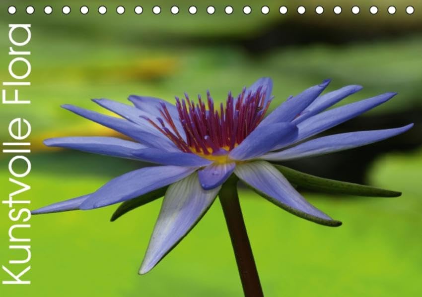 Kunstvolle Flora (Tischkalender 2016 DIN A5 quer): Leuchtende Farben und interessante Strukturen der Flora (Monatskalender, 14 Seiten) (CALVENDO Natur) Calendars