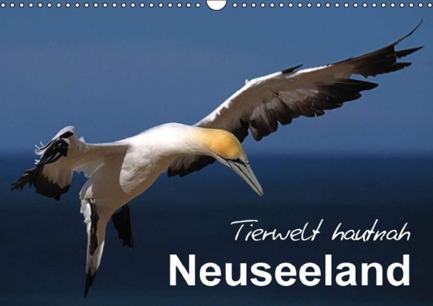 Neuseeland - Tierwelt hautnah (Wandkalender 2016 DIN A3 quer): Erleben Sie Neuseelands einzigartige Tierwelt! (Monatskalender, 14 Seiten) (CALVENDO Tiere) Leisure, Home & Garden