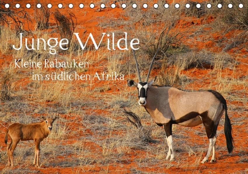 Junge Wilde - Kleine Rabauken im südlichen AfrikaCH-Version (Tischkalender 2016 DIN A5 quer): Afrikanische, junge Wildtiere vor der Kamera (Monatskalender, 14 Seiten) (CALVENDO Tiere) Leisure, Home & Garden