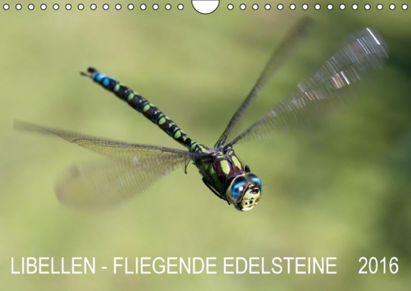 Libellen - Fliegende Edelsteine (Wandkalender 2016 DIN A4 quer): Faszinierende Nah- und Flugaufnahmen von heimischen Großlibellen-Arten (Monatskalender, 14 Seiten) (CALVENDO Tiere) Calendars