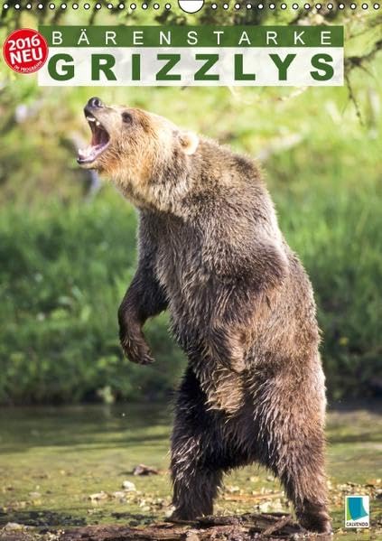 Bärenstarke Grizzlys (Wandkalender 2016 DIN A3 hoch): Grizzlys: Bären sind keine Kuscheltiere (Monatskalender, 14 Seiten) (CALVENDO Tiere) Calendars
