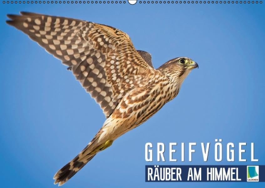 Greifvögel: Räuber am Himmel (Wandkalender 2016 DIN A2 quer): Greifvögel: Im Sturzflug zum Erfolg (Monatskalender, 14 Seiten) (CALVENDO Tiere) Calendars