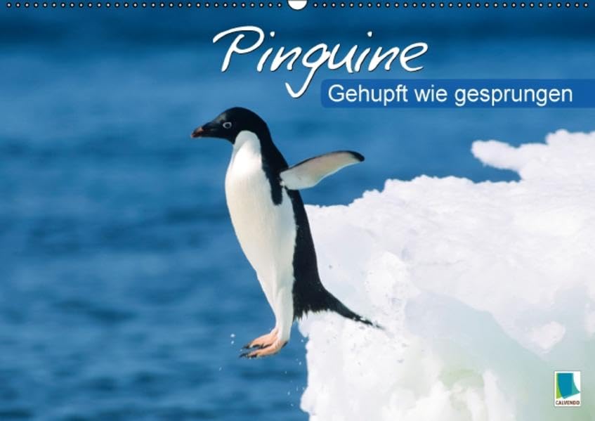 Gehupft wie gesprungen – Pinguine (Wandkalender 2016 DIN A2 quer): Pinguine: Eiskalte Faszination (Monatskalender, 14 Seiten) (CALVENDO Tiere) Calendars