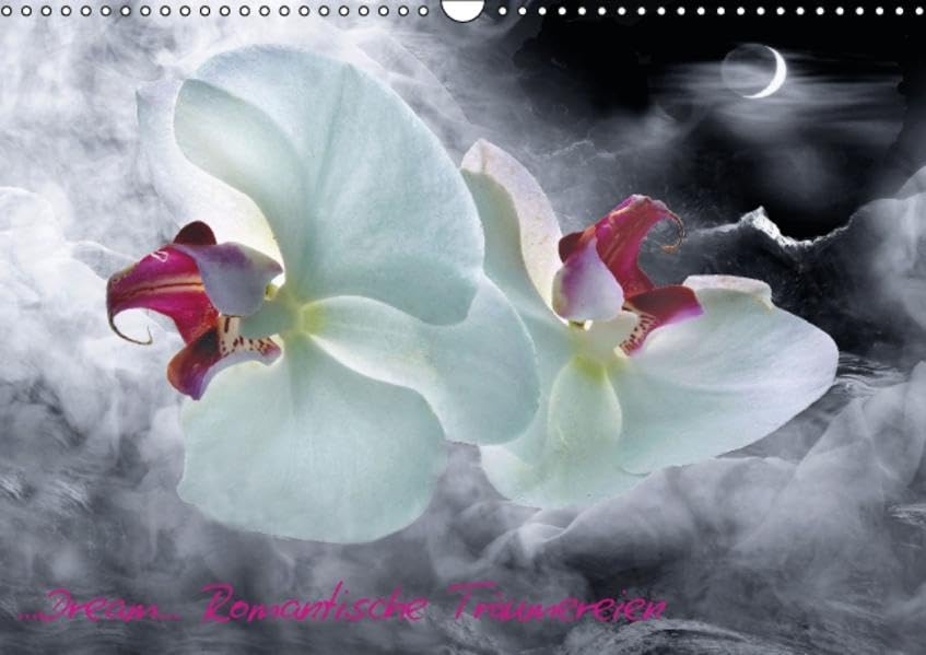 Dream-Romantische Träumereien (Wandkalender 2016 DIN A3 quer): Nostalgische und Romantische Bilder (Monatskalender, 14 Seiten ) (CALVENDO Kunst) Calendars
