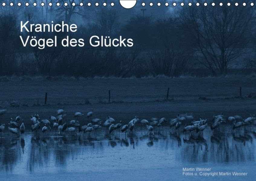 Kraniche (Wandkalender 2016 DIN A4 quer): Vögel des Glücks (Monatskalender, 14 Seiten ) (CALVENDO Tiere) Calendars