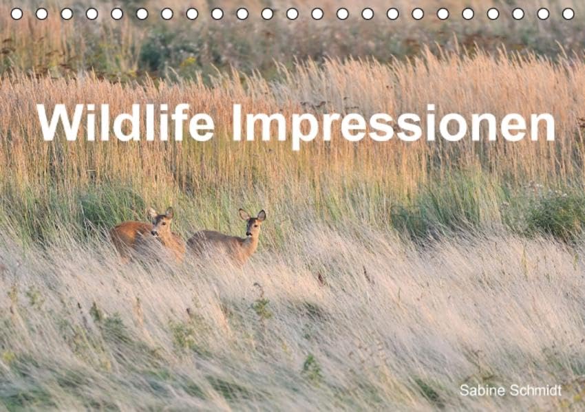 Wildlife Impressionen (Tischkalender 2016 DIN A5 quer): Wilde Tiere (Monatskalender, 14 Seiten ) (CALVENDO Tiere) Calendars