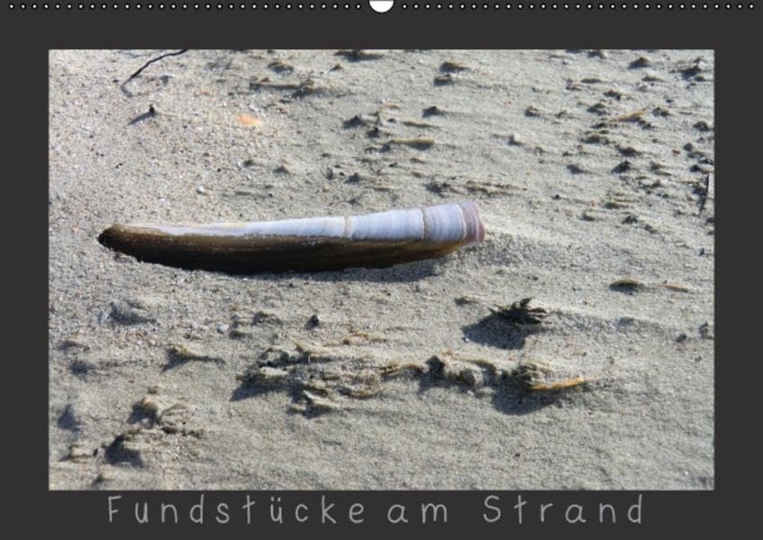 Fundstücke am Strand (Wandkalender 2016 DIN A2 quer): am Strand gesammelt (Monatskalender, 14 Seiten ) (CALVENDO Natur) Calendars
