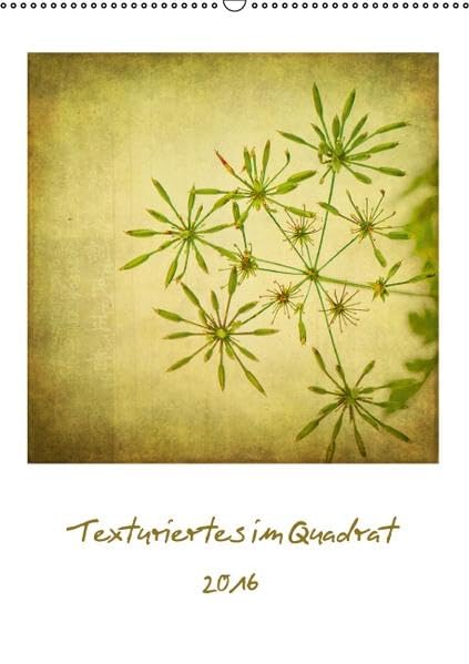 Texturiertes im Quadrat 2016 (Wandkalender 2016 DIN A2 hoch): Texturarbeiten - Fotos fast wie gemalt (Monatskalender, 14 Seiten ) (CALVENDO Kunst) Calendars