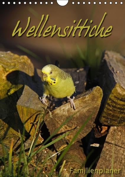 Wellensittiche (Wandkalender 2016 DIN A4 hoch): Familienplaner (Familienplaner, 14 Seiten ) (CALVENDO Tiere) Calendars