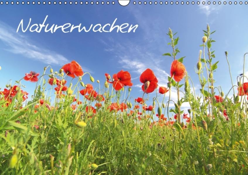 Naturerwachen (Wandkalender 2016 DIN A3 quer): Erwachen der Natur (Monatskalender, 14 Seiten ) (CALVENDO Natur) Leisure, Home & Garden