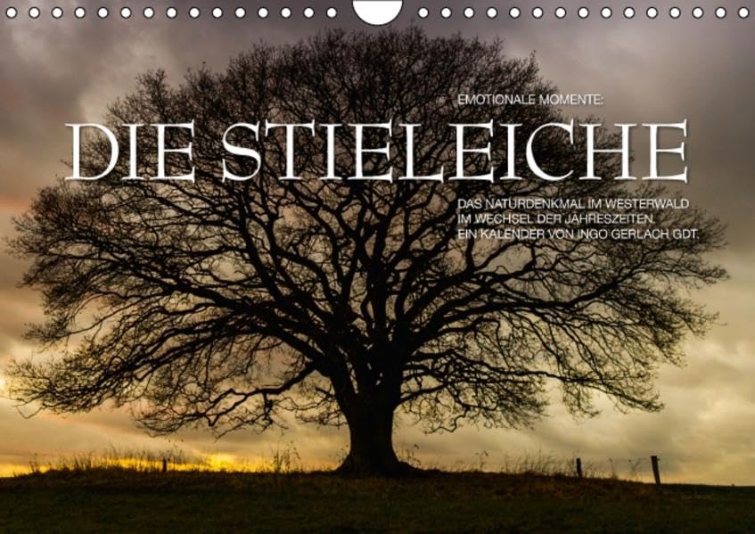 Emotionale Momente: Die Stieleiche (Wandkalender 2016 DIN A4 quer): Ein stolzes Naturdenkmal. Ein stolzer Baum. (Monatskalender, 14 Seiten ) (CALVENDO Natur) Calendars