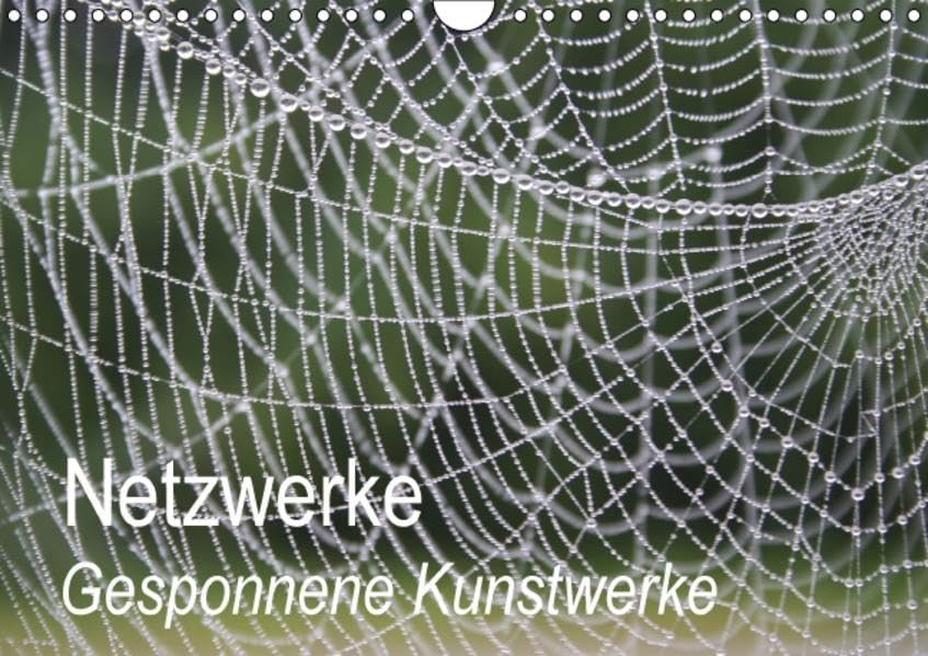 Netzwerke (Wandkalender 2016 DIN A4 quer): Gesponnene Kunstwerke (Geburtstagskalender, 14 Seiten ) (CALVENDO Natur) Calendars