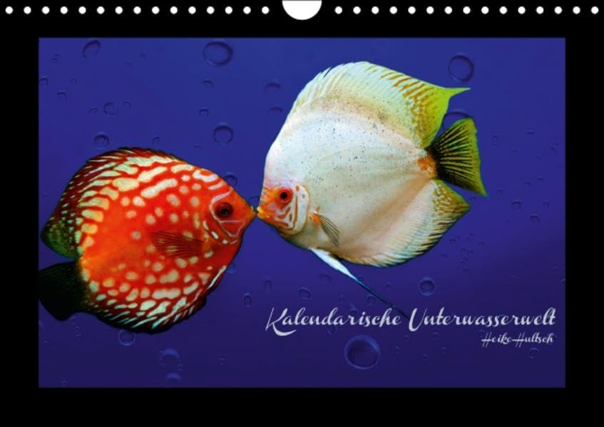 Kalendarische Unterwasserwelt (Wandkalender 2016 DIN A4 quer): Fantastisch-schöne Fische, nicht nur für Aquarianer (Monatskalender, 14 Seiten ) (CALVENDO Tiere) Calendars
