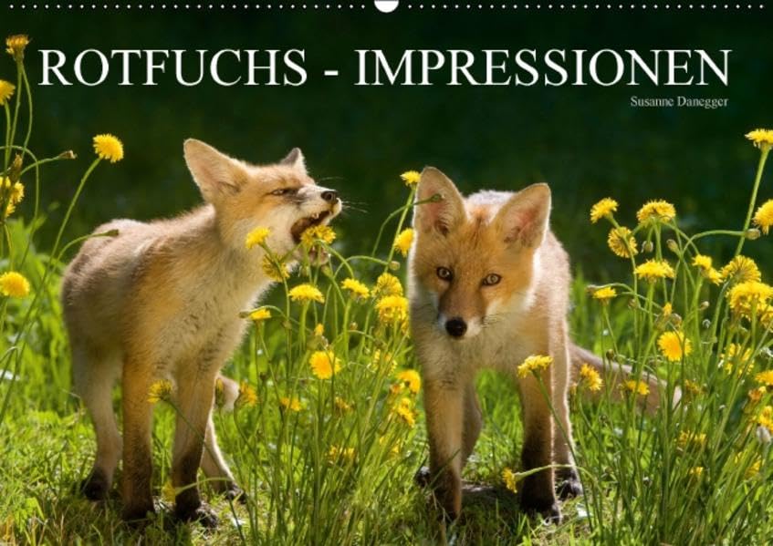 Rotfuchs - Impressionen (Wandkalender 2016 DIN A2 quer): Zauberhafte und berührende Bilder aus dem Leben der Füchse. (Monatskalender, 14 Seiten ) (CALVENDO Tiere) Calendars