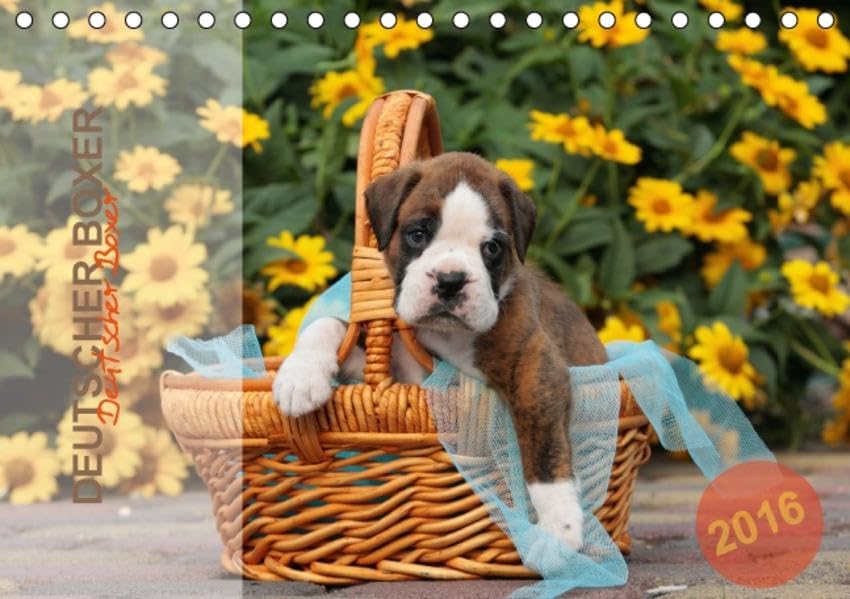 Deutscher Boxer 2016 (Tischkalender 2016 DIN A5 quer): Jahreskalender 2015 mit 13 Fotos der Hunderasse Deutscher Boxer (Monatskalender, 14 Seiten ) (CALVENDO Tiere) Calendars