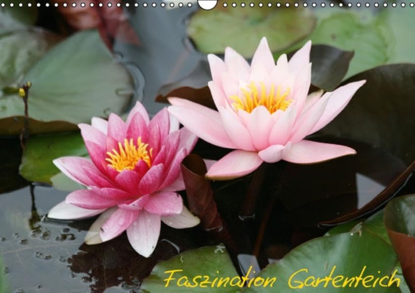 Faszination Gartenteich (Wandkalender 2016 DIN A3 quer): Paradies für Pflanzen und Tiere (Monatskalender, 14 Seiten ) (CALVENDO Natur) Calendars