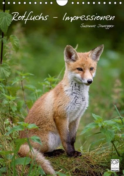 Rotfuchs - Impressionen (Wandkalender 2016 DIN A4 hoch): Bilder aus dem Leben der Füchse. (Planer, 14 Seiten ) (CALVENDO Tiere) Calendars