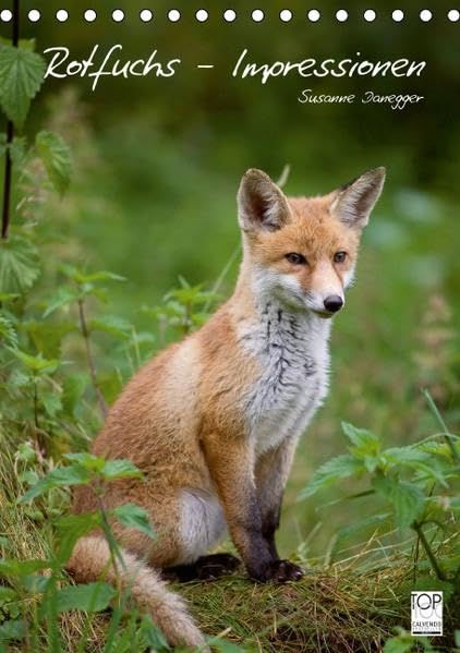 Rotfuchs - Impressionen (Tischkalender 2016 DIN A5 hoch): Bilder aus dem Leben der Füchse. (Planer, 14 Seiten ) (CALVENDO Tiere) Living & Furnishing