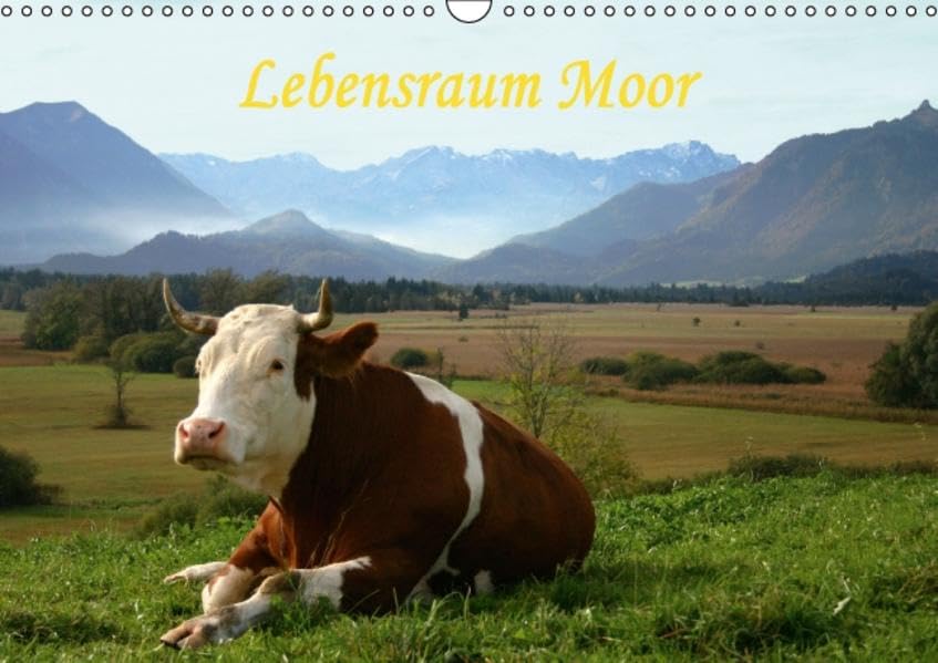 Lebensraum Moor (Wandkalender 2016 DIN A3 quer): Eindrucksvolle Aufnahmen aus Mooren in Deutschland, Österreich und Lettland (Monatskalender, 14 Seiten ) (CALVENDO Natur) Calendars